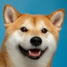 shibodog9's profile picture. Life is fun :)