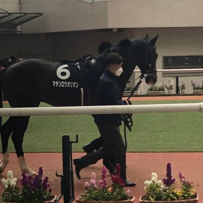 競馬歴30年の馬好きオヤジです。馬好きの人と絡みたくてTwitterに登録しました。是非、友達になって下さい🐴