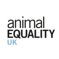 Animal Equality UK(@animal_equality) 's Twitter Profile Photo
