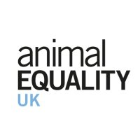 Animal Equality UK (@animal_equality) 's Twitter Profile Photo Animal Equality UK (@animal_equality) 's Twitter Profile Photo