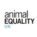 Animal Equality UK (@animal_equality) Twitter profile photo