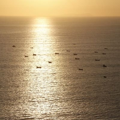 Concienciablack's profile picture. 