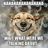 Mariso929's profile image