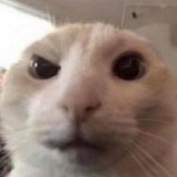 Sexhaver🔞 (@splungis0) 's Twitter Profile
