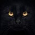 Cats Eyes 👀 (@kalee134) Twitter profile photo