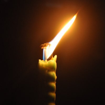 IxAMxCAMEL's profile picture. The  Caravant Collective welcomes you, dear traveler. Rest your weary feet and gaze into the vast open desert. Have a refreshment and rejoice!