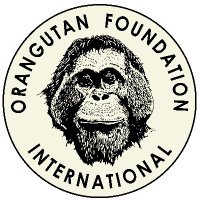 Orangutan Foundation International (@ofiorangutan) 's Twitter Profile Photo