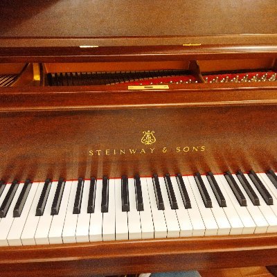 HikoKanoko's profile picture. 😎