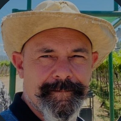 Pollo20009386's profile picture. 