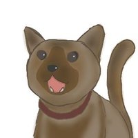 an© (@luvcatxxx) 's Twitter Profile