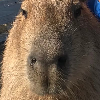 2024Wの息子は無事終了! 2028娘も新4年からWに入塾しました!沼に帰って来たのでよろしくお願いします!!