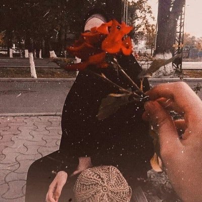 zelvitya_'s profile picture. 