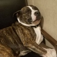 j b 3 3 z i (@jb33zi) 's Twitter Profile