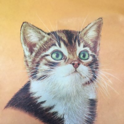 ashsreturn's profile picture. Yes