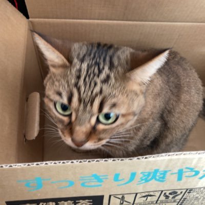 ハルアキさんのプロフィール画像