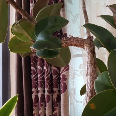 007xxo1's profile picture. 코리아 평창에 살고 있고
 밝고 깨끗하게 살고 있는 
가정 주부입니다