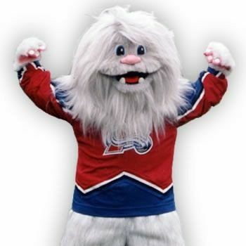 BeetleZhukovsky's profile picture. 