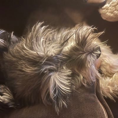 SAMsSusie's profile picture. 