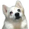 gunzee2's profile picture. Medium-Rare Gamesという名義でゲームの個人開発をしています。
全自動ダンジョンRPG "Algolemeth" 制作中。@Algolemeth
BitSummit Let's GO!! 2023 ゲーム・デザイン最優秀賞ノミネート
第2回GYAAR Studioインディーゲームコンテスト入賞
7144