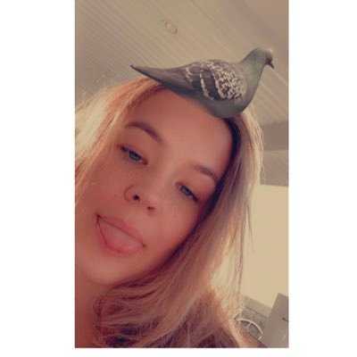 gramson7947's profile picture. 