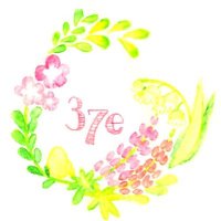 37e+Fleur naine 🎁企画中 (@37e_ovo) 's Twitter Profile Photo