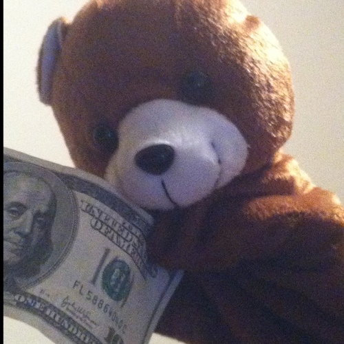 Bear_Fun's profile picture. Check out what Mister Bear is up to today!