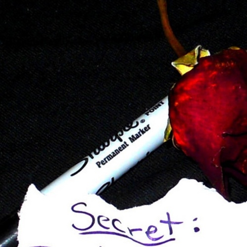 FLthingss's profile picture. Send us some things you'd like people to know. DM it all to us.