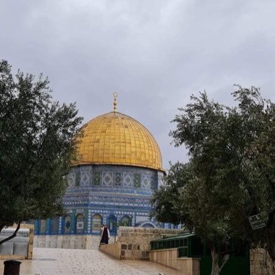 RetaAlkhateeb's profile picture. حلمي أن أخرج من الحياة بنفس النقاء الذي جئت به إليها