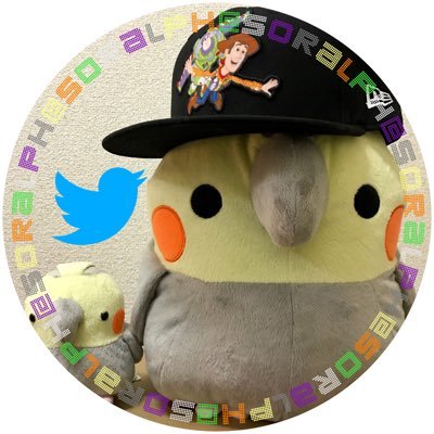 すぱいらるあふろですこんにちは。初めに言いますが、そらるさんて方のファンじゃないですごめんなさい。R6S・APEX・CoDなどのFPSやってます。メロン、サワークリーム、もちもちには目がない。 中等度のボールペンオタク、軽度の靴オタクです。