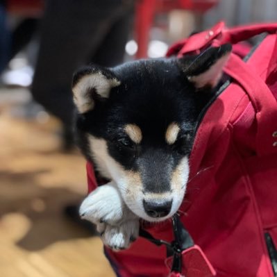 marileu_'s profile picture. 