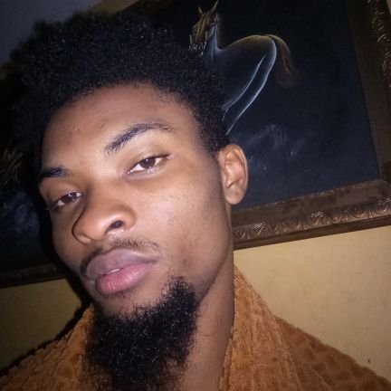 ciarealtor's profile picture. I am Consult Ibrahim Azeez. The CIA Tradr. Interest fact you should know: Gorrilas can't swim. 😿 Don't limit your FUTURE, lead it. 🌱