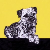 Border Terrier Welfare (@btwelfare) 's Twitter Profile