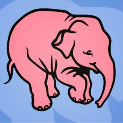 kzitn's profile picture. ロボットとAIで工場の現場をちょっとずつ変えてます。普段はシリコンバレー、時々日本にも顔出してます。雑談・相談いつでも歓迎。