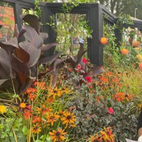 Zoe Roberts (@zoerobe67809583) 's Twitter Profile