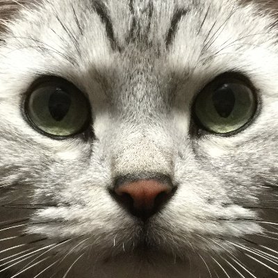 復帰したおじさんさんのプロフィール画像