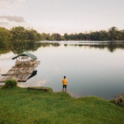 EuphoriaProd1's profile picture. for nft