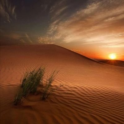 إحرص على حاضرٍ محترم .. تحصل على ماضٍ مشرِّف