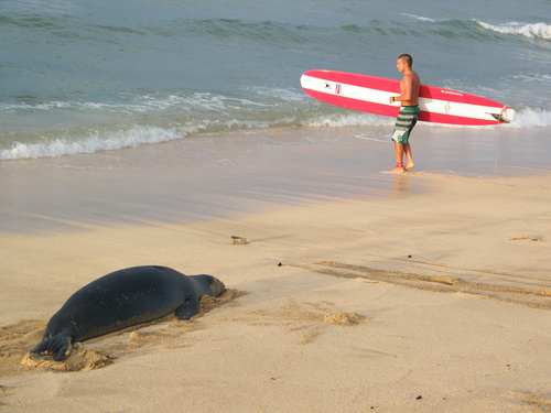 TheRealPerry_R's profile picture. 