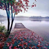 Ahmed 85 (@19ah85) Twitter profile photo