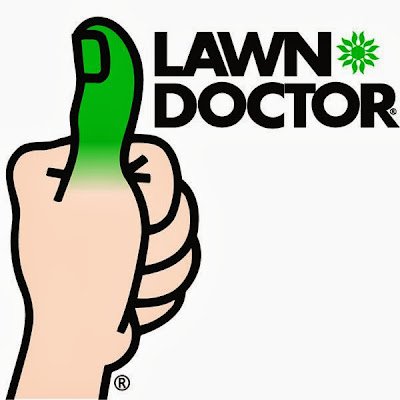 Keeping Lawns Healthy