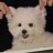 cherry_plus1's profile image