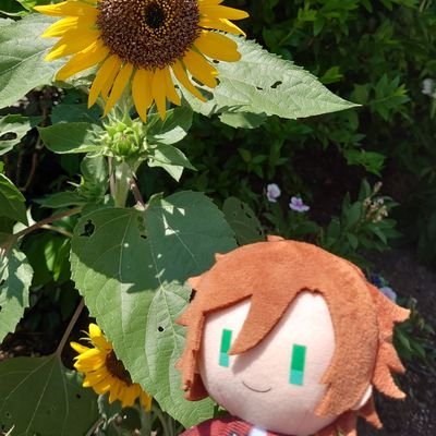 グッズ専用取引きアカウント/※成人済30↑社会人/郵送やり取りメイン/取引き後のDMは削除させて頂いてます/低浮上ぎみ/詳しくはツイフィにて↓↓