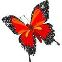 Nuwan Bandara - @agnbandara - Twitter