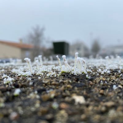 AHouckinFrance's profile picture. Same handle elsewhere. PhD candidate @CreaNanterre. Confirmed bibliophile. Distilled spirit purist. Dog lover. Introvert. 🏳️‍🌈🏳️‍⚧️ Ally.