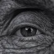 Compose. Rework. Hit head into the wall. Alter. Re-alter. I issue solver, a Virtual entertainment devotee.