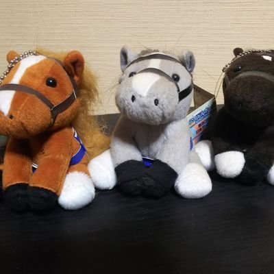 lavictoire55's profile picture. #競馬#佐賀競馬
#ウサギ🐰