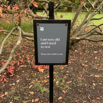 john1v1's profile picture. Husband, Father, Pastor, Saved by Grace, Living with Hope, anticipating Christ’s return.