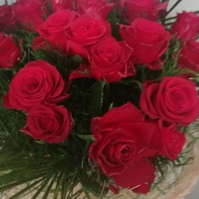 o_h_i_c's profile picture. Tımarhanenin baş delisi ••• Yer diyorum arkadaşlar çekmeseydi de uçsaydık •••