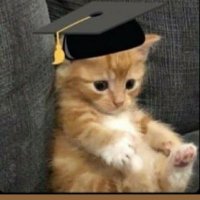 abrar (@abrar_shawahni) Twitter profile photo