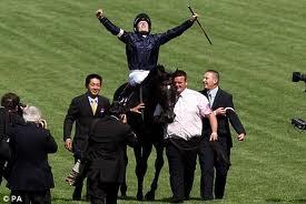 TopTurfTips's profile picture. 